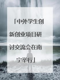 中外学生创新创业项目研讨交流会在南宁举行
