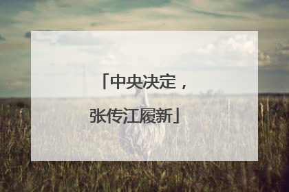 中央决定，张传江履新