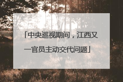 中央巡视期间，江西又一官员主动交代问题