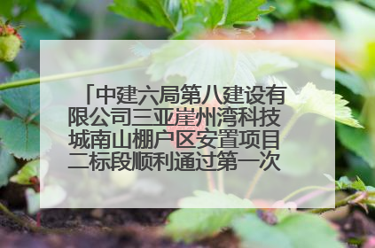 中建六局第八建设有限公司三亚崖州湾科技城南山棚户区安置项目二标段顺利通过第一次主体结构验收