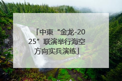 中柬“金龙-2025”联演举行海空方向实兵演练