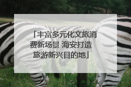 丰富多元化文旅消费新场景 海安打造旅游新兴目的地