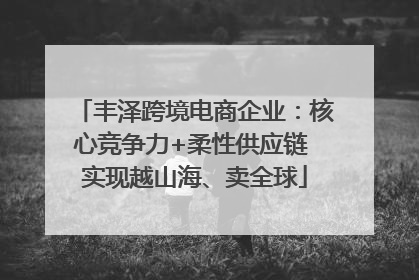 丰泽跨境电商企业：核心竞争力+柔性供应链 实现越山海、卖全球