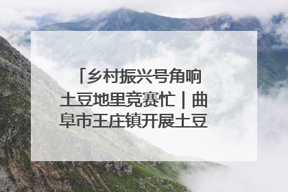 乡村振兴号角响 土豆地里竞赛忙｜曲阜市王庄镇开展土豆收获劳动竞赛