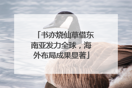 书亦烧仙草借东南亚发力全球，海外布局成果显著