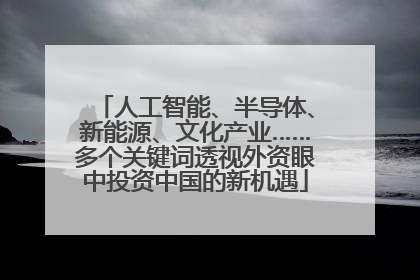人工智能、半导体、新能源、文化产业……多个关键词透视外资眼中投资中国的新机遇
