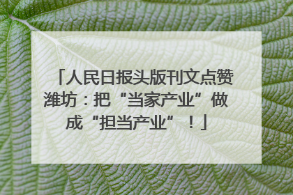 人民日报头版刊文点赞潍坊：把“当家产业”做成“担当产业”！