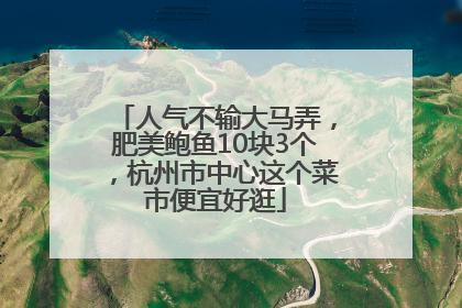 人气不输大马弄，肥美鲍鱼10块3个，杭州市中心这个菜市便宜好逛