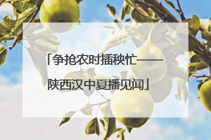 争抢农时插秧忙——陕西汉中夏播见闻