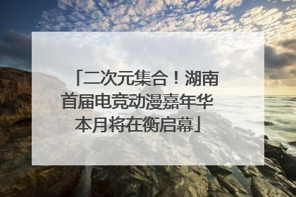 二次元集合！湖南首届电竞动漫嘉年华本月将在衡启幕