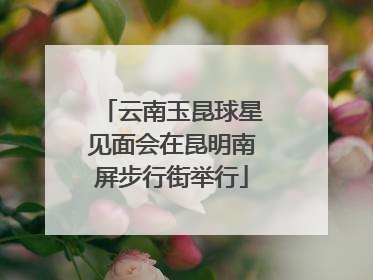 云南玉昆球星见面会在昆明南屏步行街举行