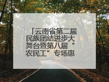 云南省第二届民族团结进步大舞台暨第八届“农民工”专场惠民演出启幕