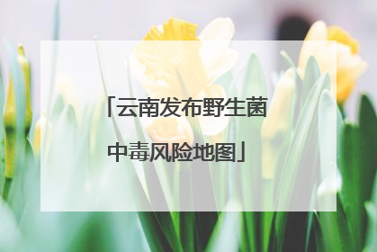 云南发布野生菌中毒风险地图
