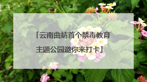 云南曲靖首个禁毒教育主题公园邀你来打卡