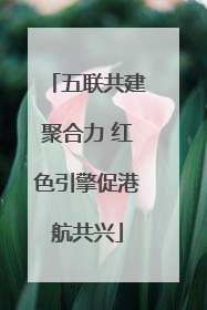 五联共建聚合力 红色引擎促港航共兴
