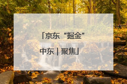 京东“掘金”中东｜聚焦