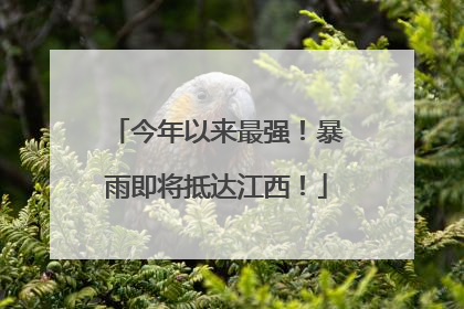 今年以来最强！暴雨即将抵达江西！