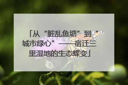 从“脏乱鱼塘”到“城市绿心”——宿迁三里湿地的生态蝶变