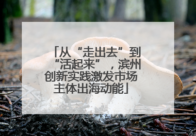 从“走出去”到“活起来”，滨州创新实践激发市场主体出海动能