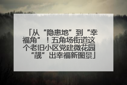 从“隐患地”到“幸福角”！五角场街道这个老旧小区党建微花园“靓”出幸福新图景