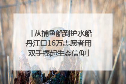 从捕鱼船到护水船 丹江口16万志愿者用双手捧起生态信仰