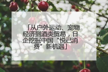 从户外运动、宠物经济到酒类贸易，日企挖掘中国“悦己消费”新机遇