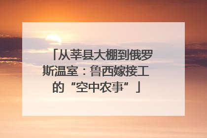 从莘县大棚到俄罗斯温室：鲁西嫁接工的“空中农事”