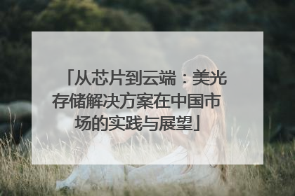 从芯片到云端：美光存储解决方案在中国市场的实践与展望