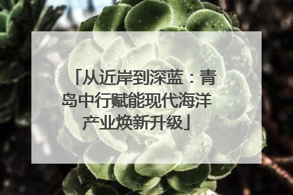 从近岸到深蓝：青岛中行赋能现代海洋产业焕新升级