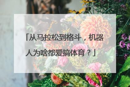 从马拉松到格斗，机器人为啥都爱搞体育？