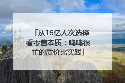从16亿人次选择看零售本质：鸣鸣很忙的质价比实践