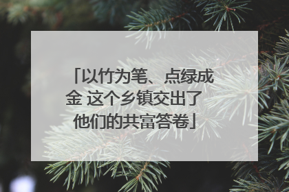 以竹为笔、点绿成金 这个乡镇交出了他们的共富答卷