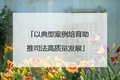 以典型案例培育助推司法高质量发展