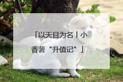 以天目为名丨小香薯“升值记”