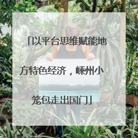 以平台思维赋能地方特色经济，嵊州小笼包走出国门