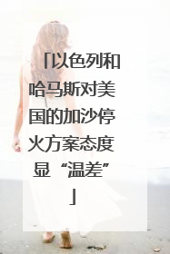 以色列和哈马斯对美国的加沙停火方案态度显“温差”