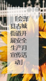 会泽县古城街道开展安全生产月宣传活动