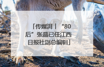 传媒湃︱“80后”张晶已任江西日报社副总编辑