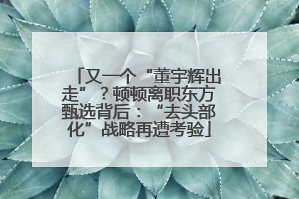 又一个“董宇辉出走”？顿顿离职东方甄选背后：“去头部化”战略再遭考验