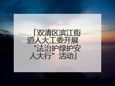 双清区滨江街道人大工委开展“法治护绿护安人大行”活动