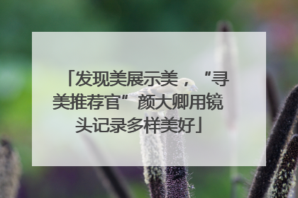 发现美展示美，“寻美推荐官”颜大卿用镜头记录多样美好