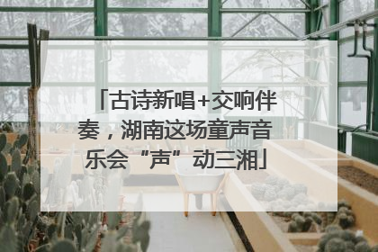古诗新唱+交响伴奏，湖南这场童声音乐会“声”动三湘