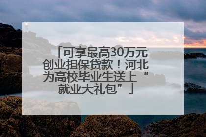可享最高30万元创业担保贷款！河北为高校毕业生送上“就业大礼包”