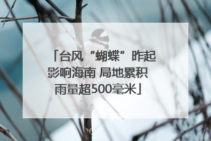 台风“蝴蝶”昨起影响海南 局地累积雨量超500毫米