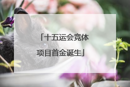 十五运会竞体项目首金诞生