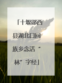 十堰郧西县湖北口回族乡念活“林”字经