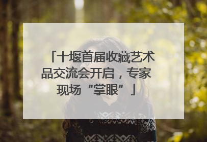 十堰首届收藏艺术品交流会开启，专家现场“掌眼”