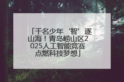 千名少年‘智’逐山海！青岛崂山区2025人工智能竞赛点燃科技梦想