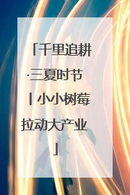 千里追耕·三夏时节丨小小树莓拉动大产业