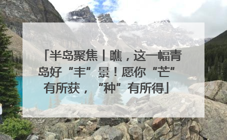 半岛聚焦丨瞧，这一幅青岛好“丰”景！愿你“芒”有所获，“种”有所得